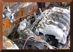 Kia Sedona Fires Engine Investigation