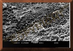 Dometic Refrigerator Fire Weld Failure-Scanning Electron Microscope