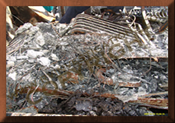 Norcold Refrigerator Fire Investigation