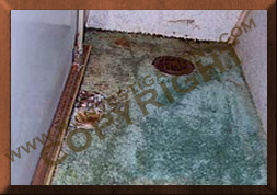 floor carpet mold