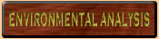 Environmental Analysis